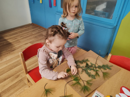 Poznáváme krásy lesa